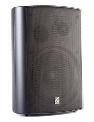 Акустическая система Roxton MS-40T